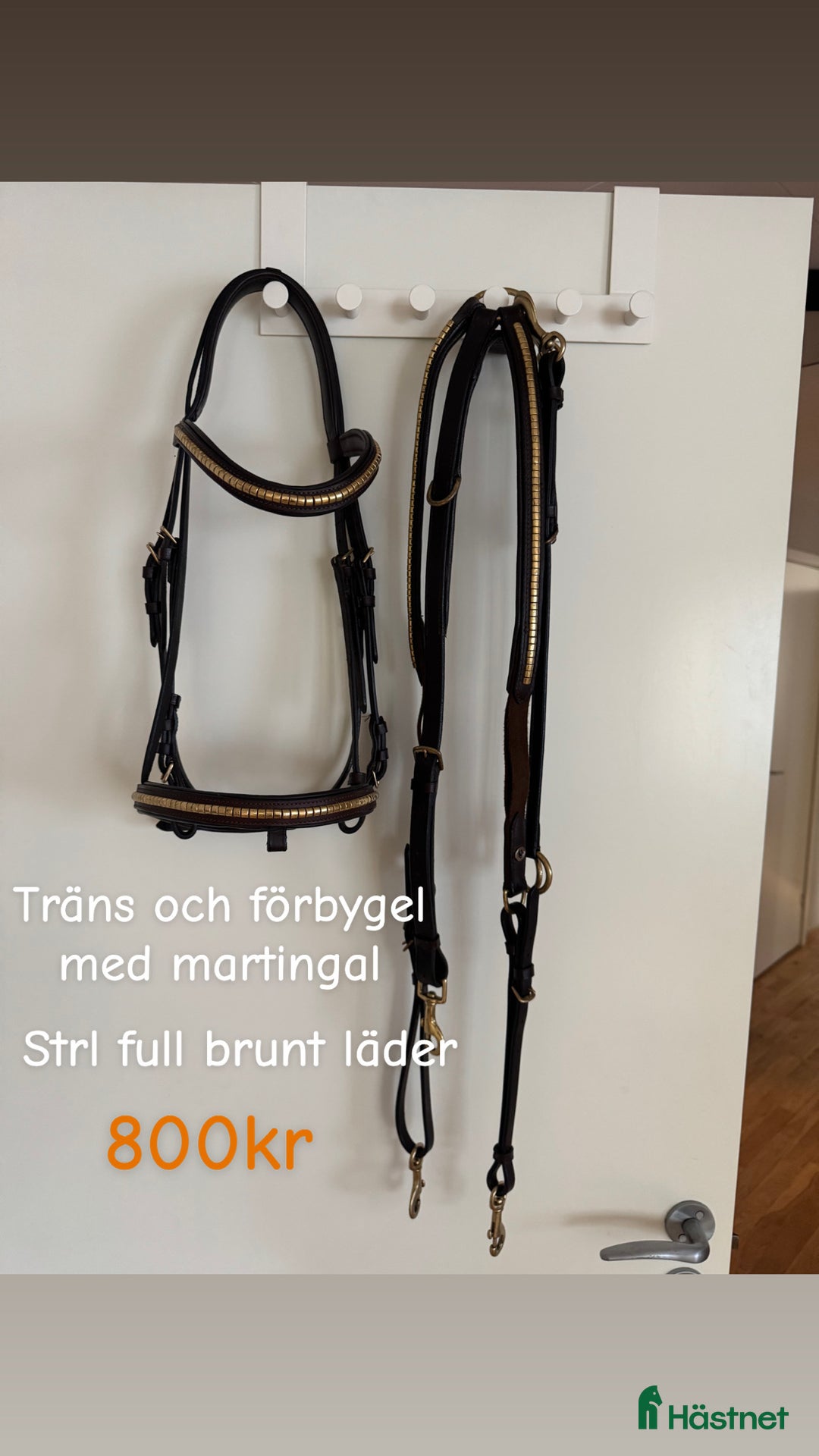 Övrig Hästutrustning hästutrustning till salu:  Samshield  Pikeur Fager Ariat Uhip MayaDelores i Hjälteby - Annons 6