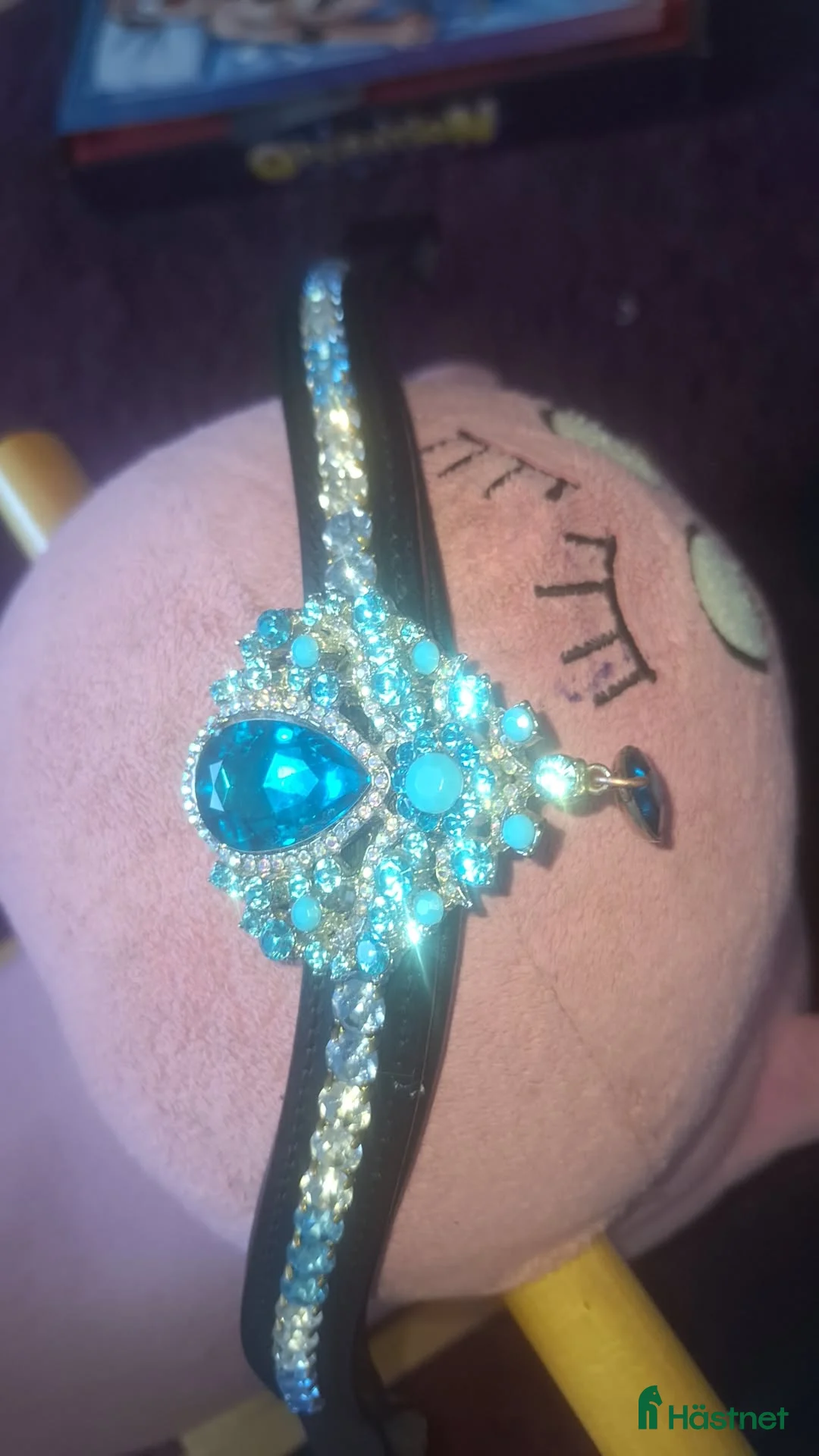 Träns hästutrustning till salu: 🌟panband till salu🌟 i Nora - Annons 4