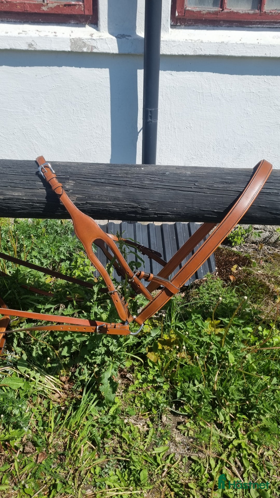 Körselar körning till salu: Cognac färgad bröstsele X-full i Eskilstuna - Annons 8