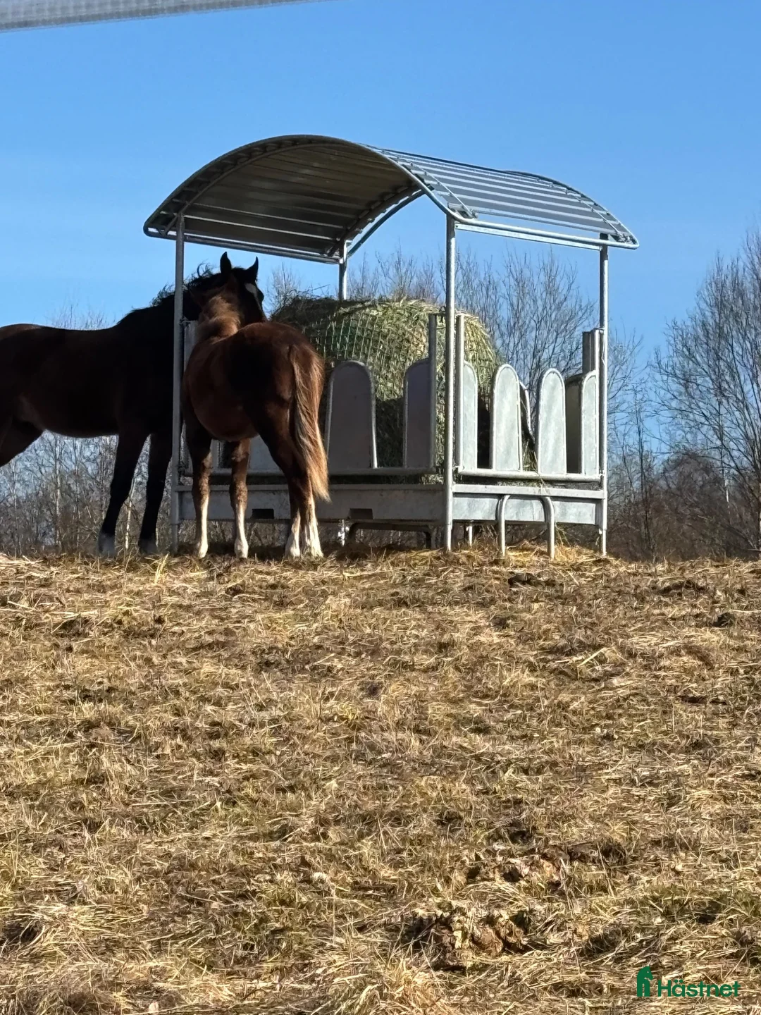  stallplats finnes: Stall plats i Kalvsvik - Annons 1