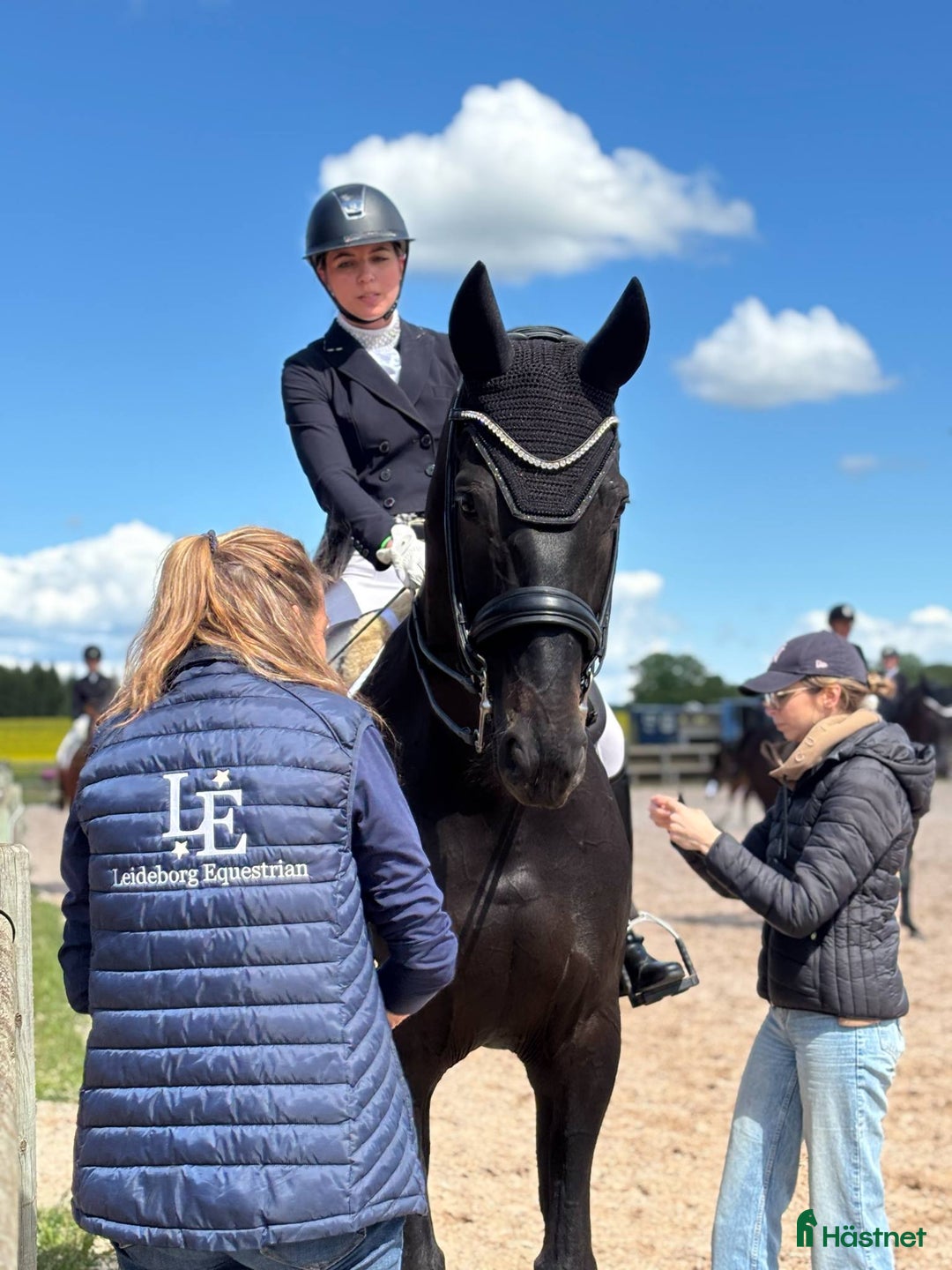 Dressyr hästar till salu: Fantastisk häst för Lilla Rundan/J/YR i Linköping - Annons 6