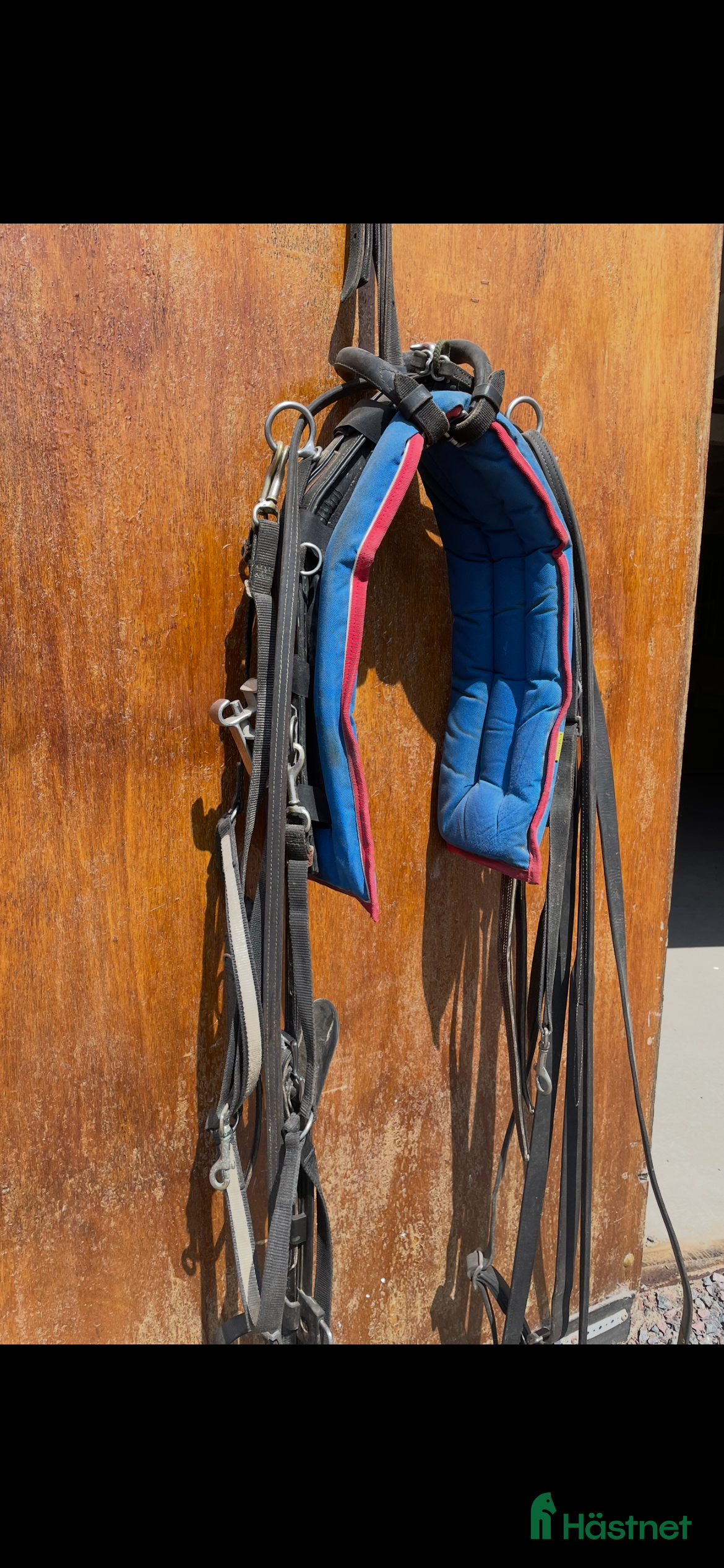 Travselar trav till salu: QH-Syntetsele tömmar förbygel i Askersund - Annons 4