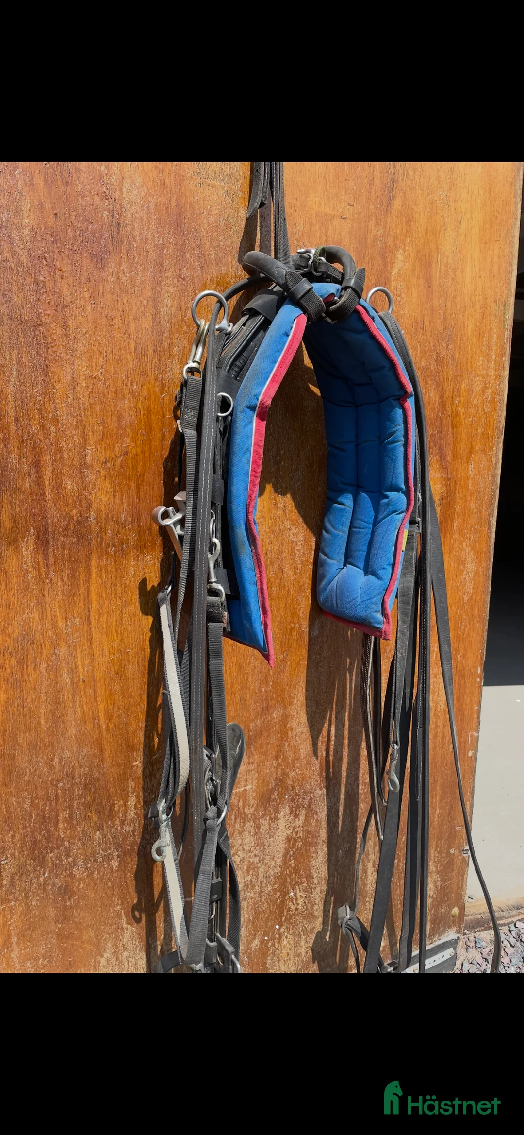 Travselar trav till salu: QH-Syntetsele tömmar förbygel i Askersund - Annons 1