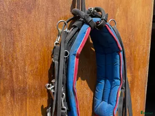 Travselar trav till salu: QH-Syntetsele tömmar förbygel i Askersund - Annons 4