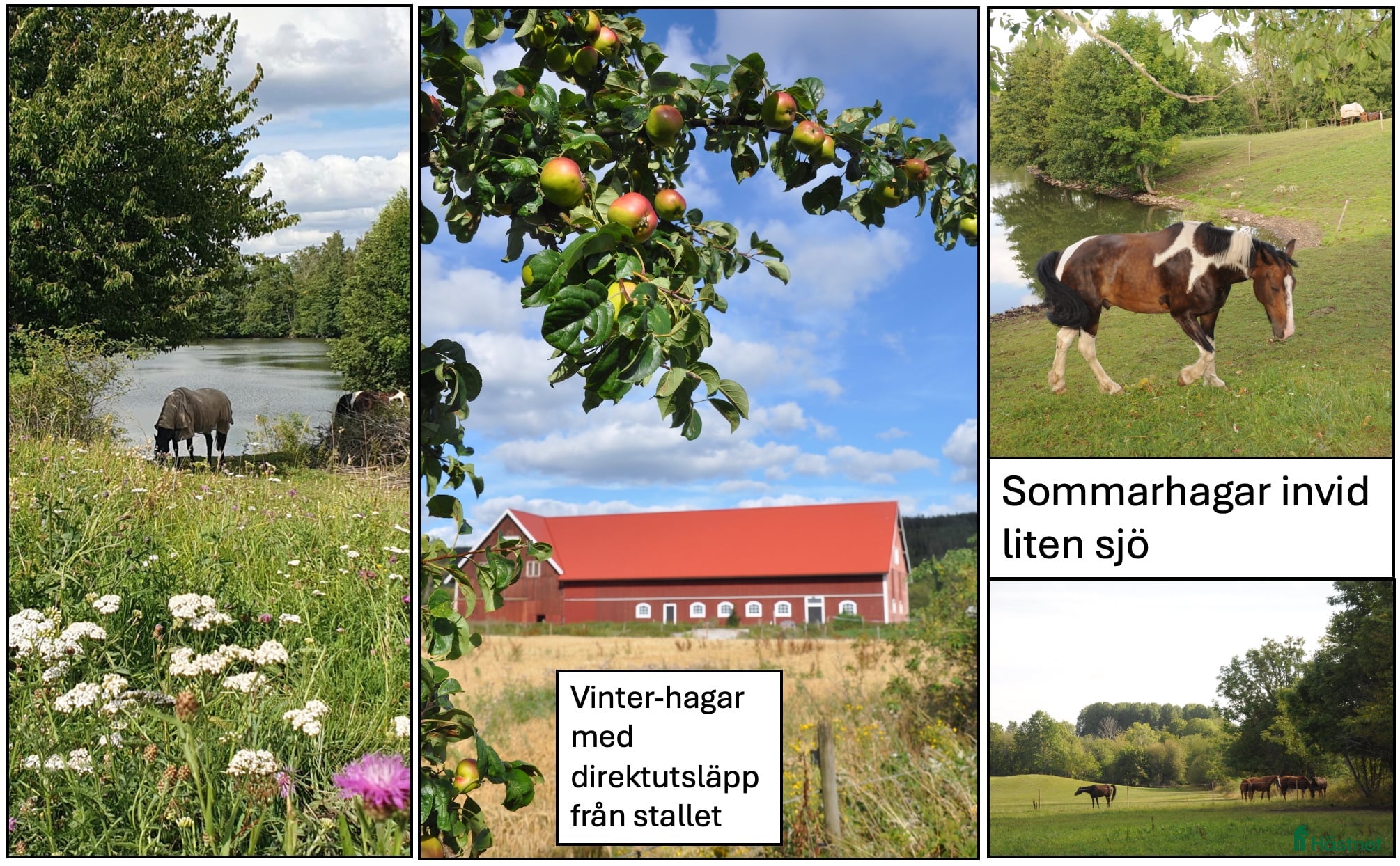  stallplats Lediga stallplatser i Skövde - Annons 12