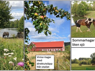 stallplats finnes: Lediga stallplatser i Skövde - Annons 1