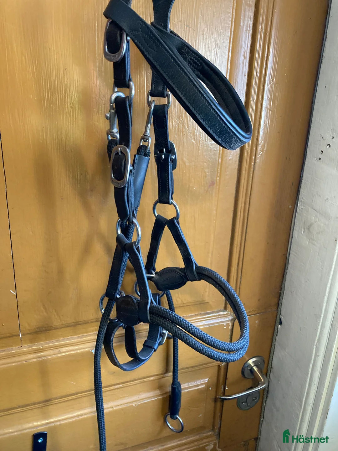 Träns hästutrustning till salu: Bettlöst kombiträns  - Annons 1