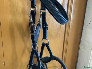 Träns hästutrustning Bettlöst kombiträns - Annons 5