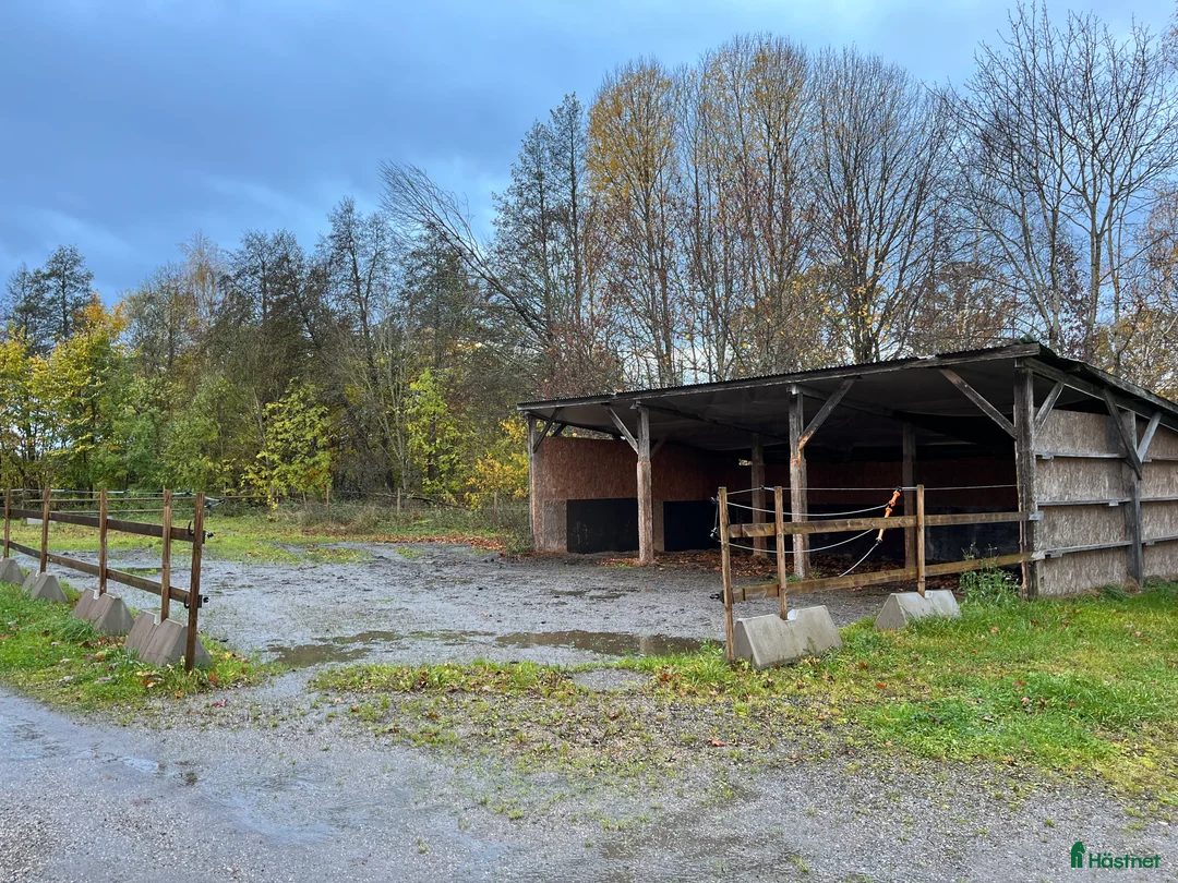  hästgårdar till salu: Stallplats uthyres Stjärnhov i Stjärnhov - Annons 3