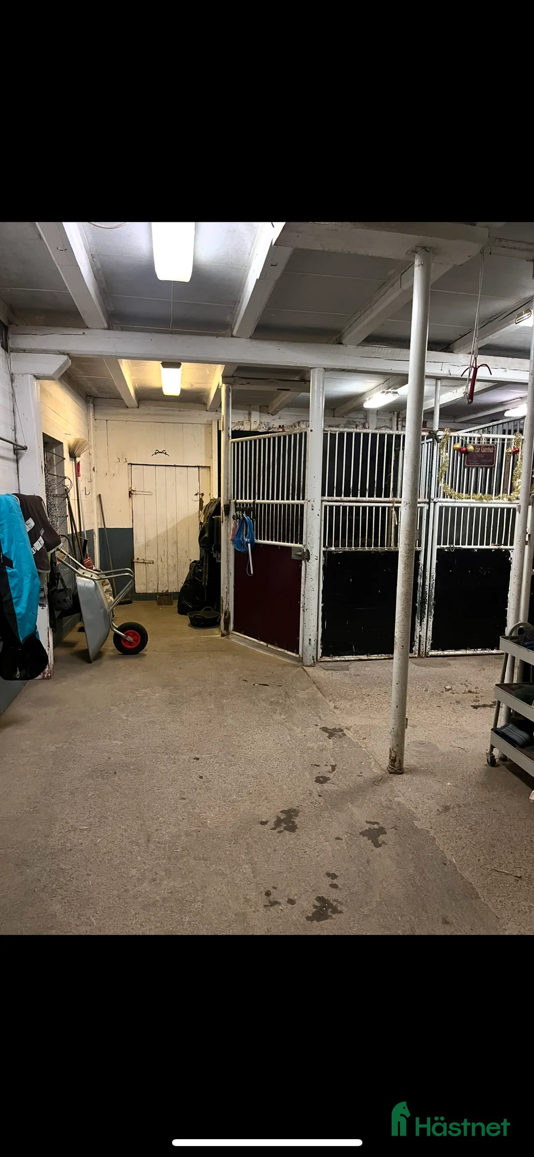  stallplats finnes: Två stallplatser lediga🐴 - Annons 3