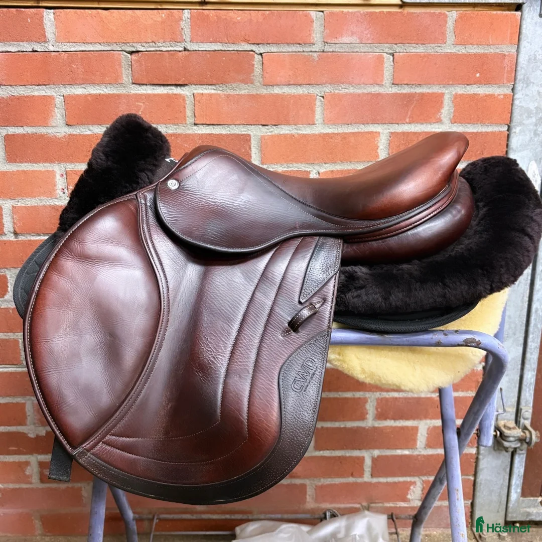 Sadlar hästutrustning till salu: CWD sadel - Annons 1