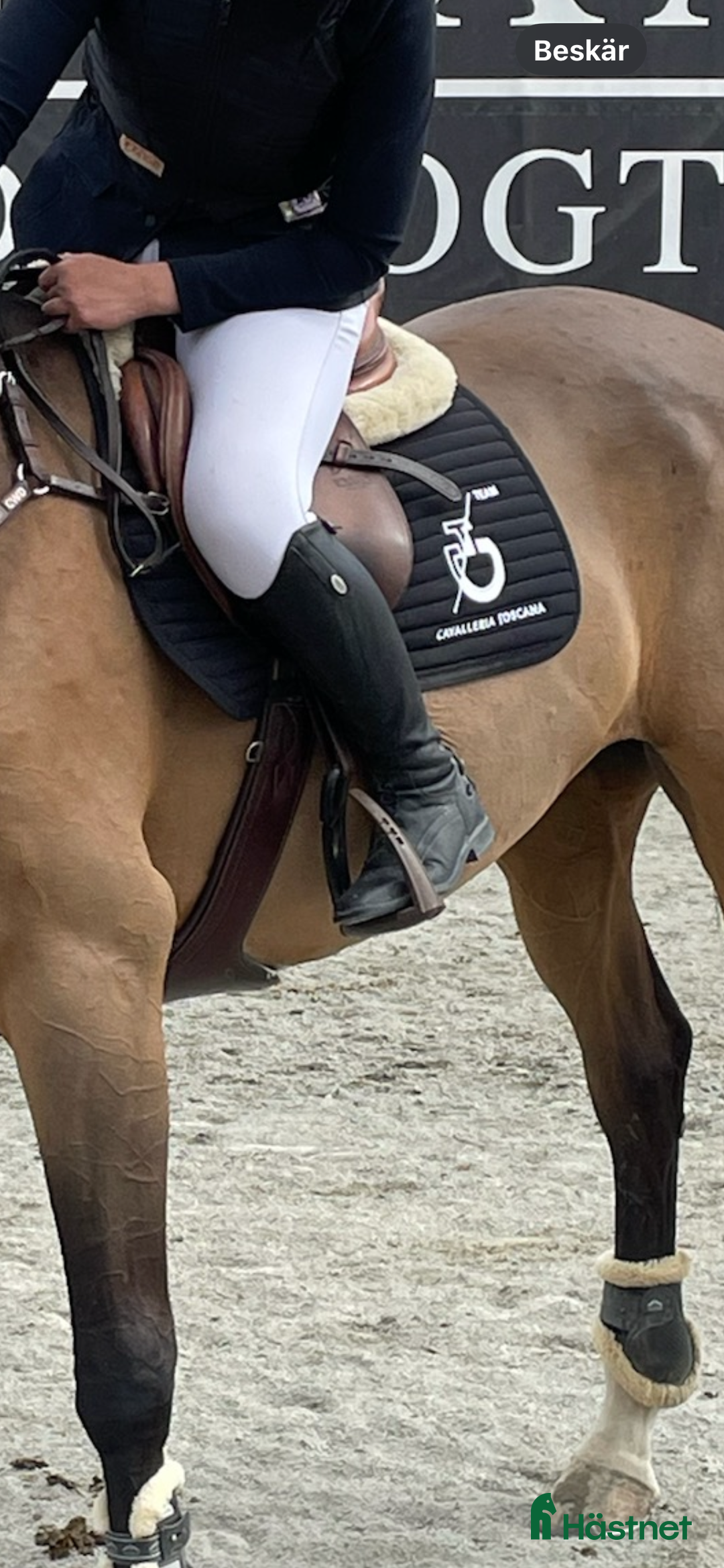 Övrig Hästutrustning hästutrustning till salu: Säljer av lite grejer i Flen - Annons 4