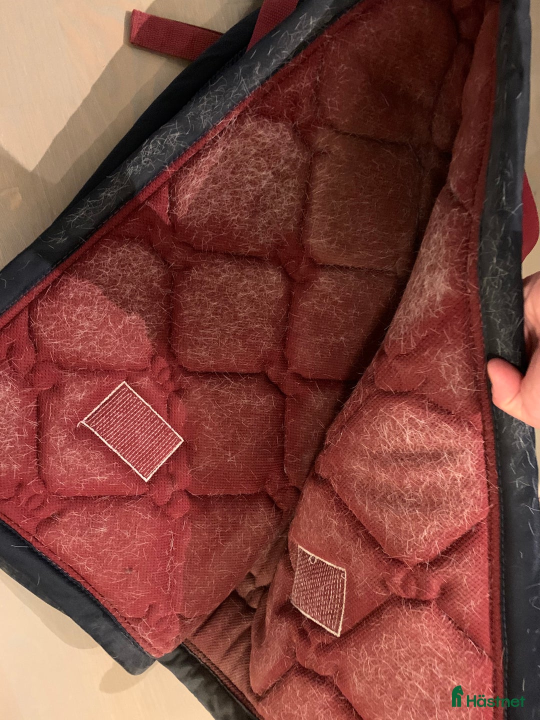 Schabrak & Vojlockar hästutrustning till salu: Equestrian Stockholm  i Norrköping - Annons 2