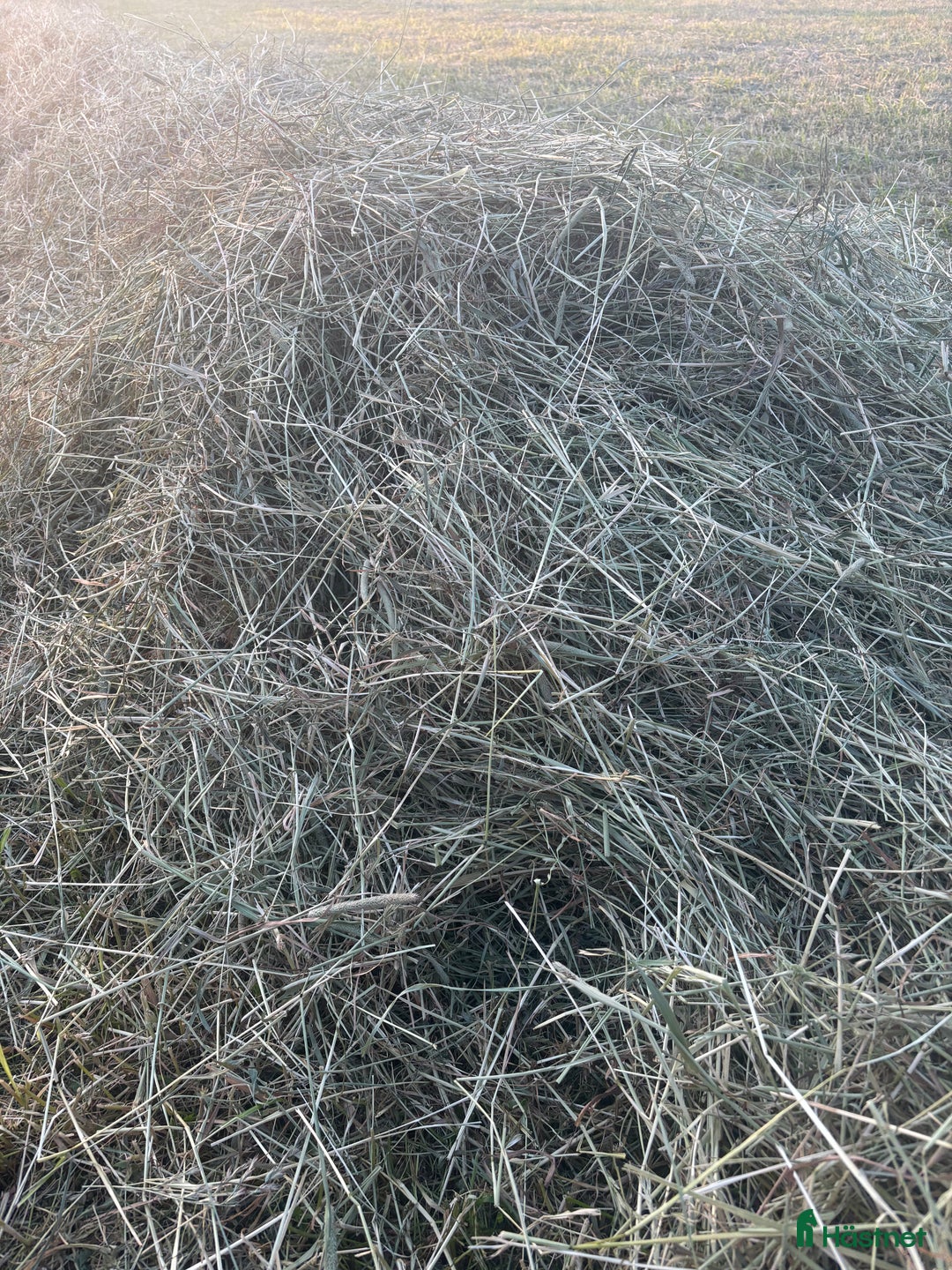  hästservice finnes: Hösilage i Höör - Annons 1