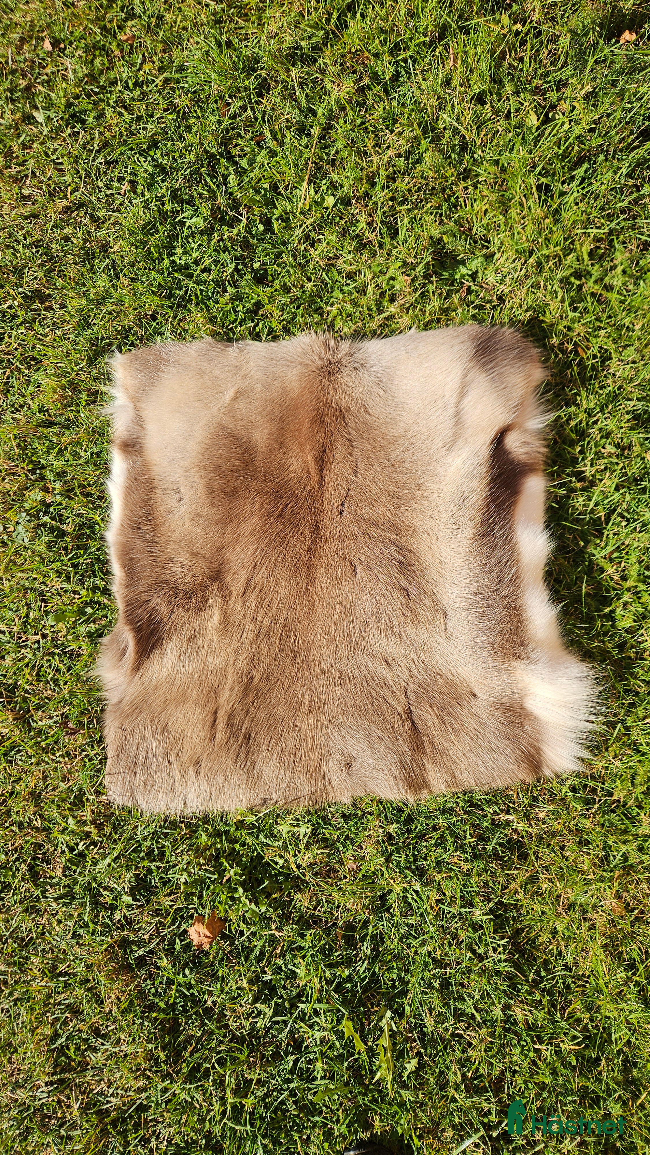 Sadeltillbehör hästutrustning till salu: Renskinn 60*60 cm i Hökerum - Annons 1