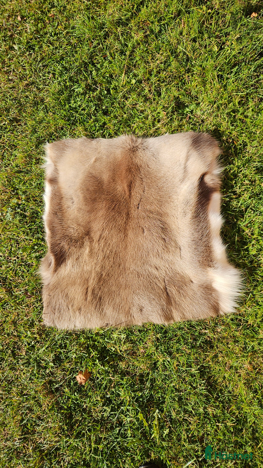 Sadeltillbehör hästutrustning till salu: Renskinn 60*60 cm i Hökerum - Annons 1