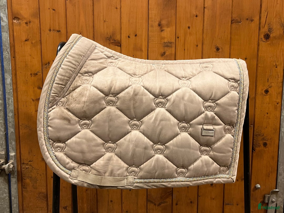 Schabrak & Vojlockar hästutrustning till salu: Märkes schack! i Axvall - Annons 4