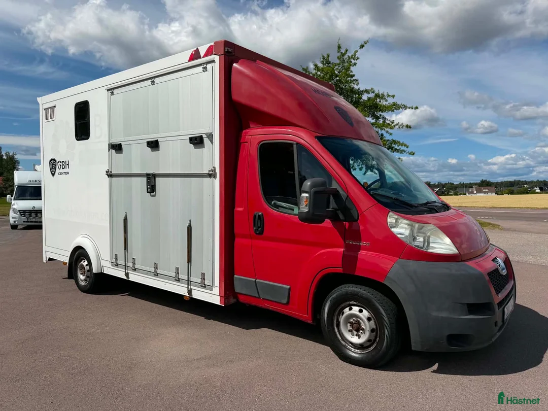 Hästlastbilar  fordon & transport till salu: Peugeot Hästlastbil med stuteri-inredning!  - Annons 1