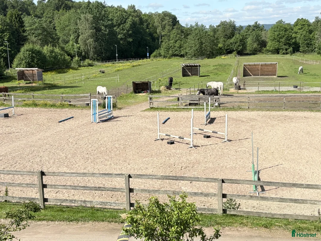 stallplats finnes: Ledig plats i litet mysigt stall  i Lerum - Annons 1