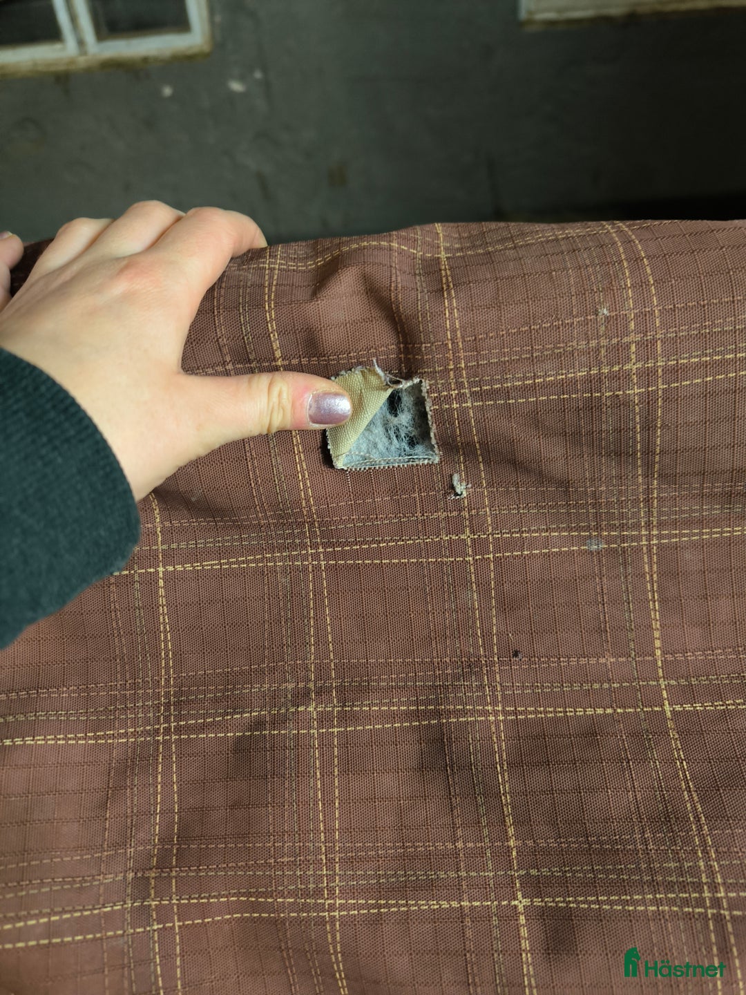 Täcken hästutrustning till salu: Ute täcke  i Åmotsbruk - Annons 2