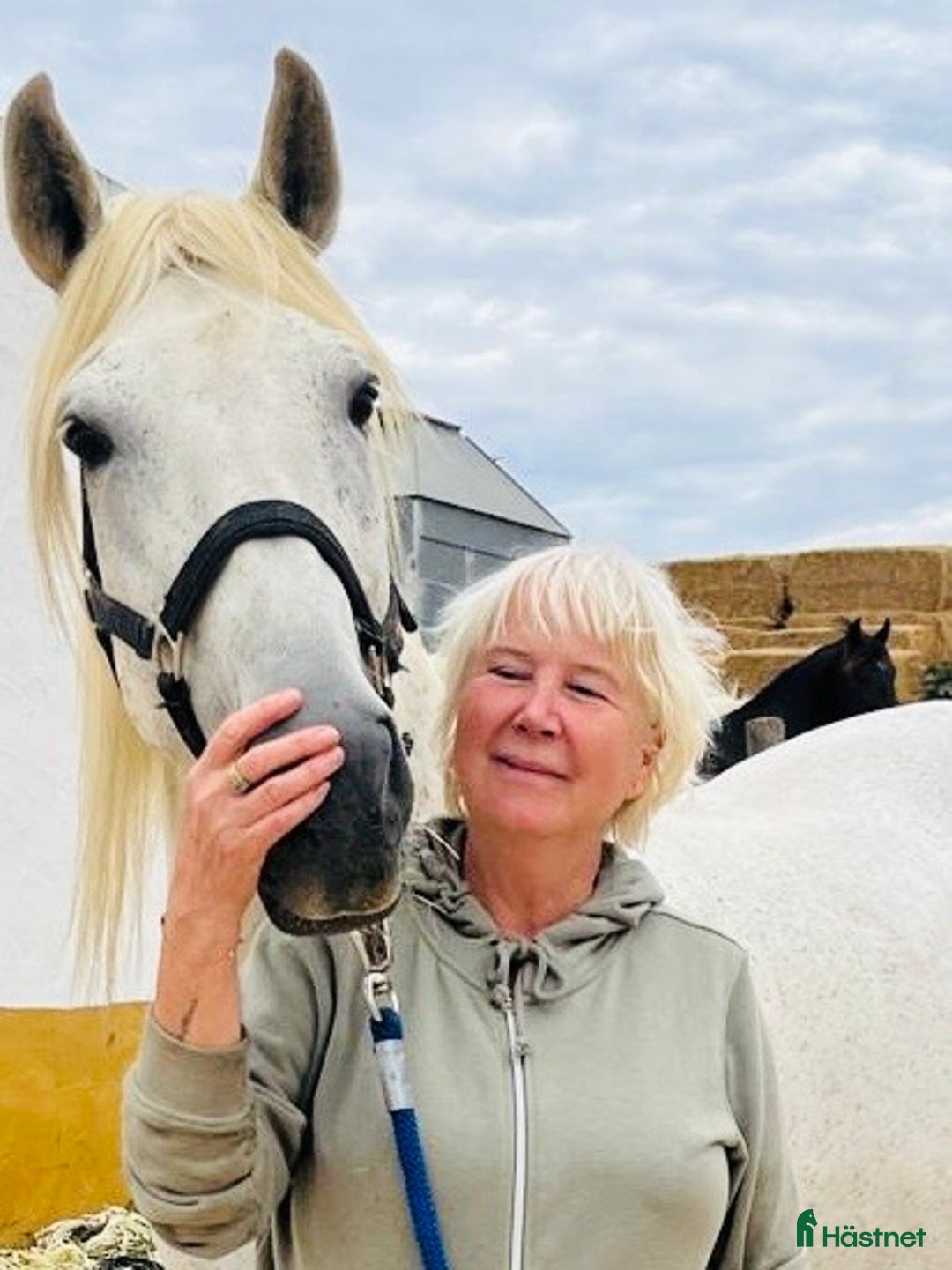 Dressyr hästar till salu: Vacker PRE valack i Conil de la Frontera - Annons 2