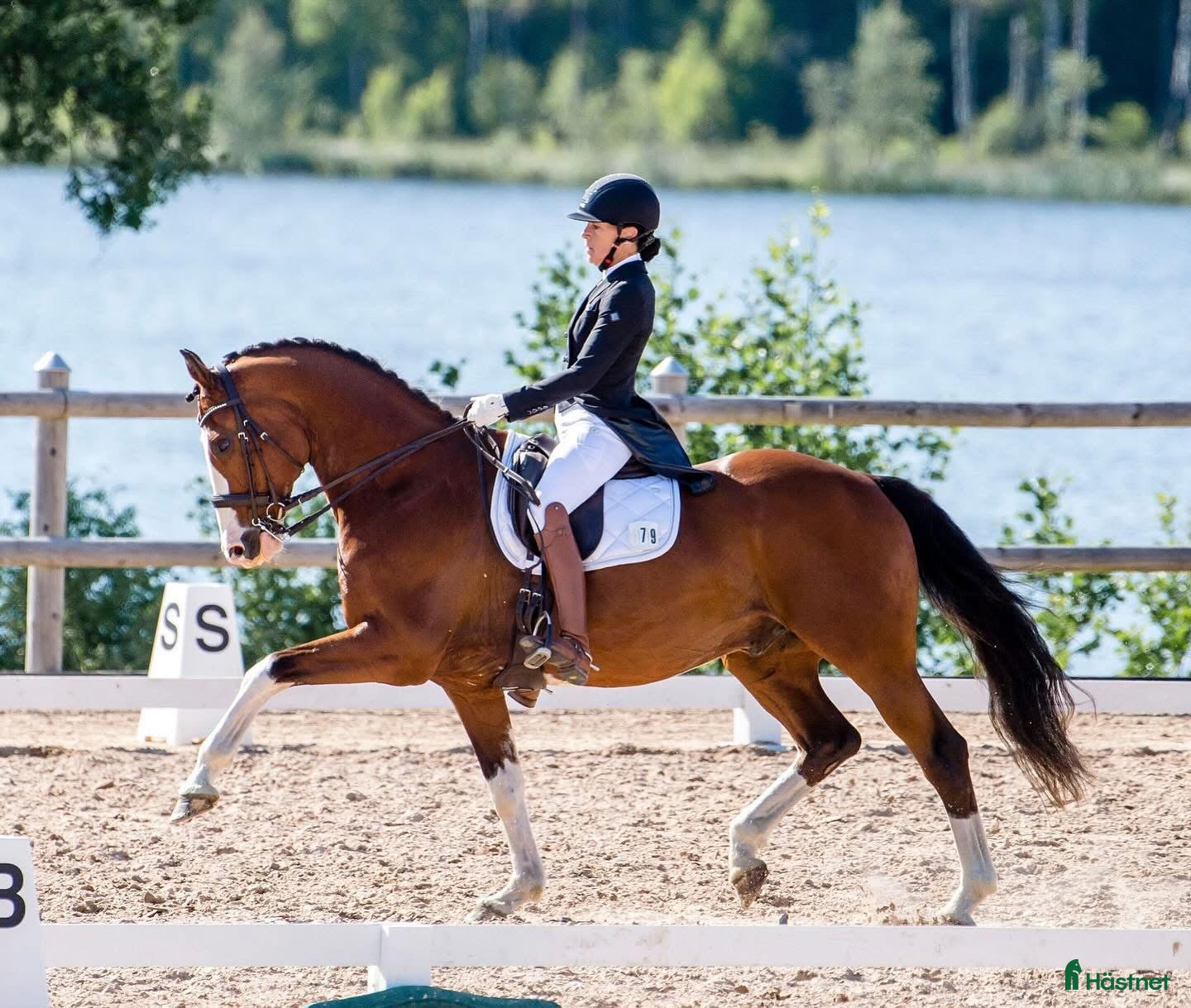  hästar Genom snäll valack med utstålning i Flisby - Annons 10