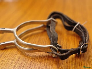 Övrig Ryttarutrustning ryttarutrustning till salu: Sprenger Balkenhol i Tranås - Annons 21