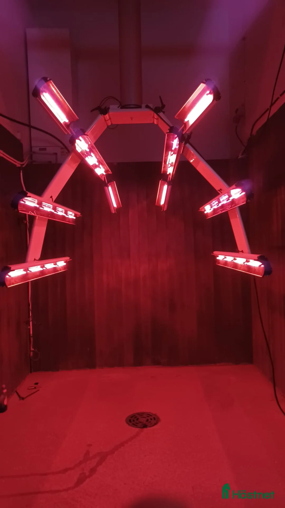 Övrig Hästutrustning hästutrustning till salu: IRELT A26 HÄST hästsolarium - Annons 1