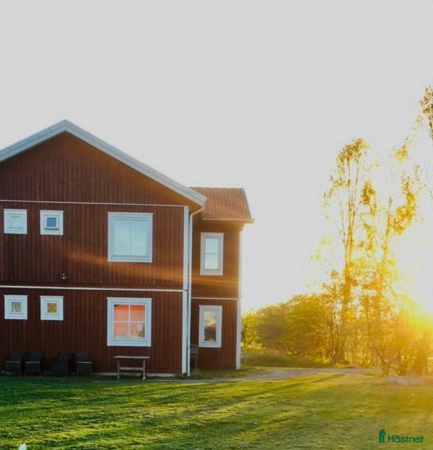  hästjobb finnes: Eget boende på vacker hästgård mot stallarbete.  - Annons 3