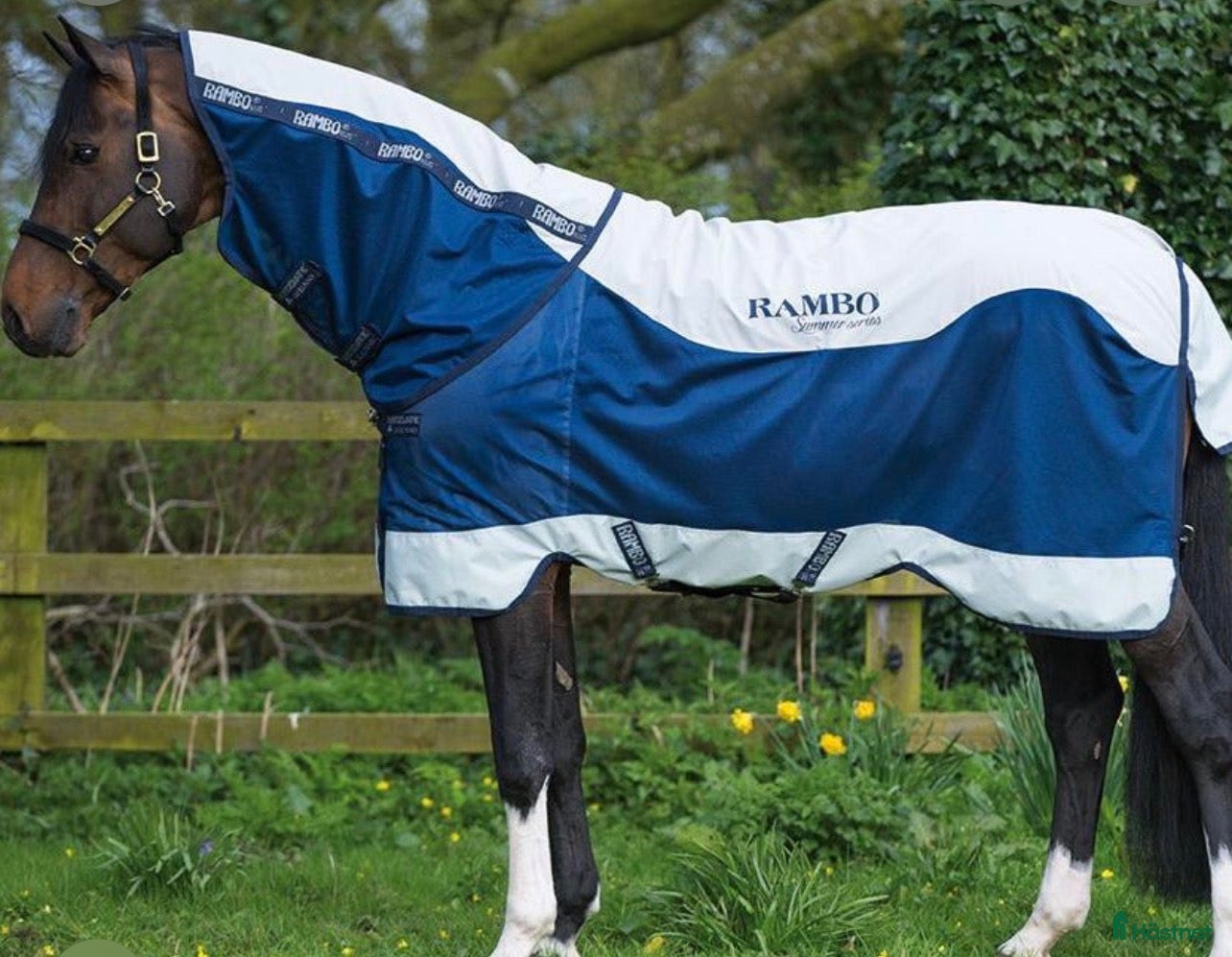 Täcken hästutrustning Rambo Summer 140 - Annons 1