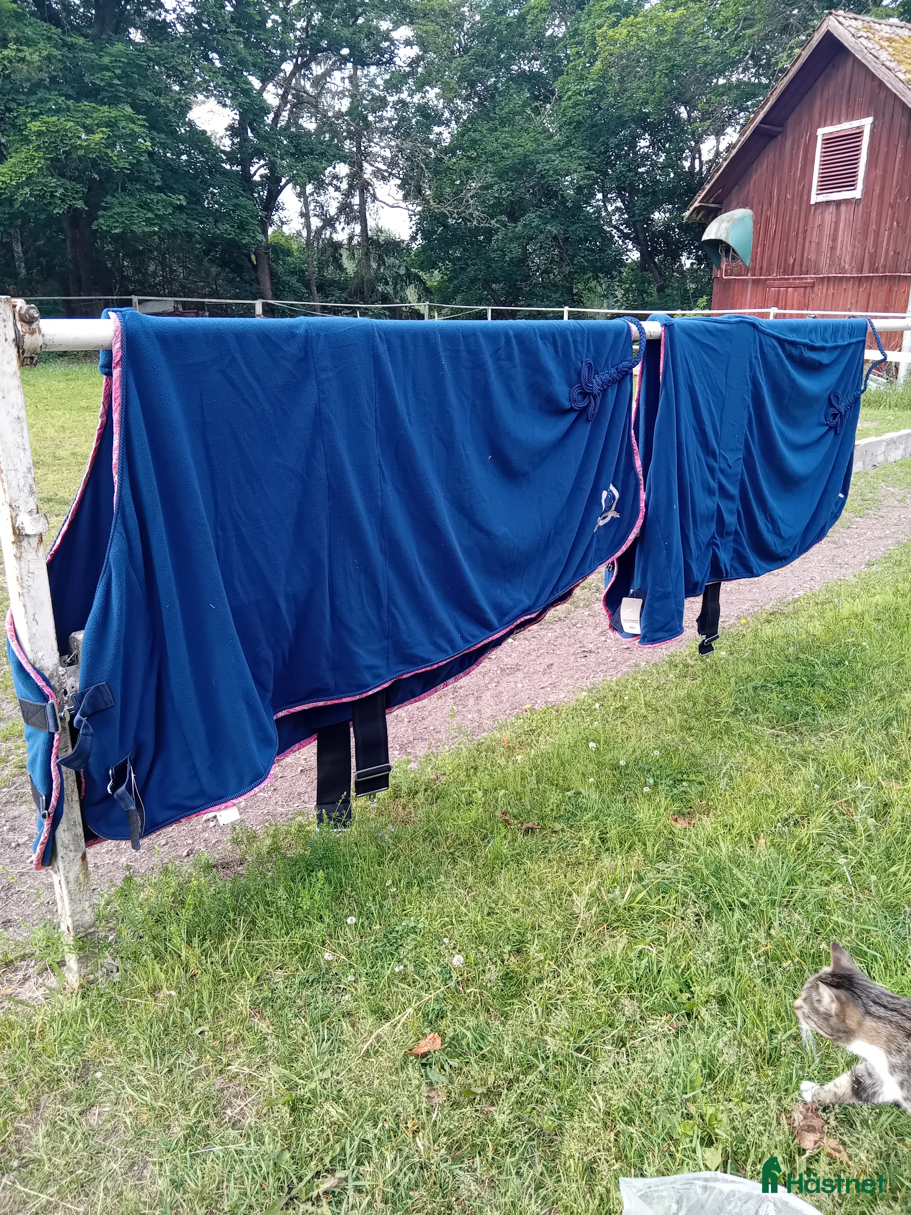 Täcken hästutrustning till salu: 2 st nya Lauria garrelli Fleese  i Strängnäs - Annons 4