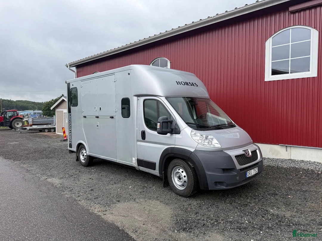 Hästlastbilar  fordon & transport till salu: Theault firsteo 2013  299900kr  - Annons 1