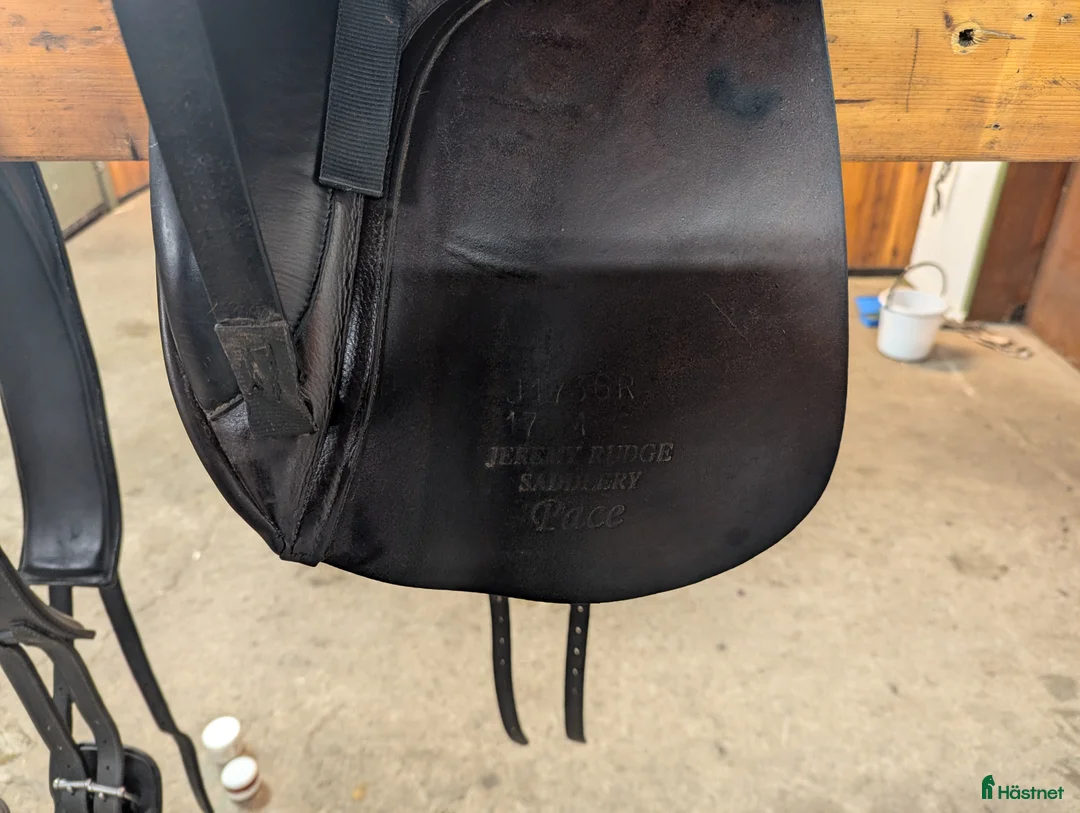 Sadlar hästutrustning till salu: Jeremy Rudge Pace - Annons 6