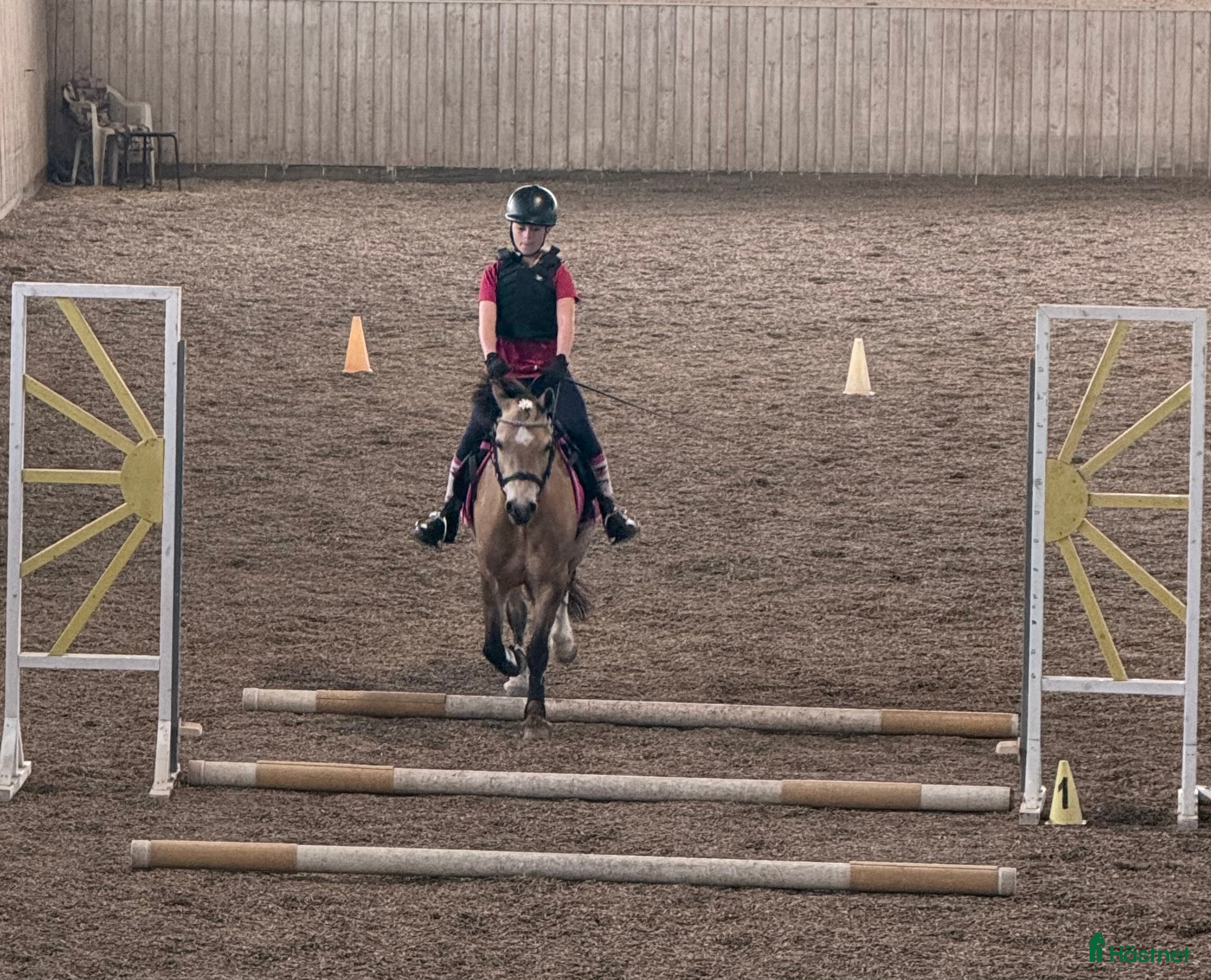  medryttarhäst sökes: 10-åring som drömmer om att bli medryttare  i Vagnhärad - Annons 22