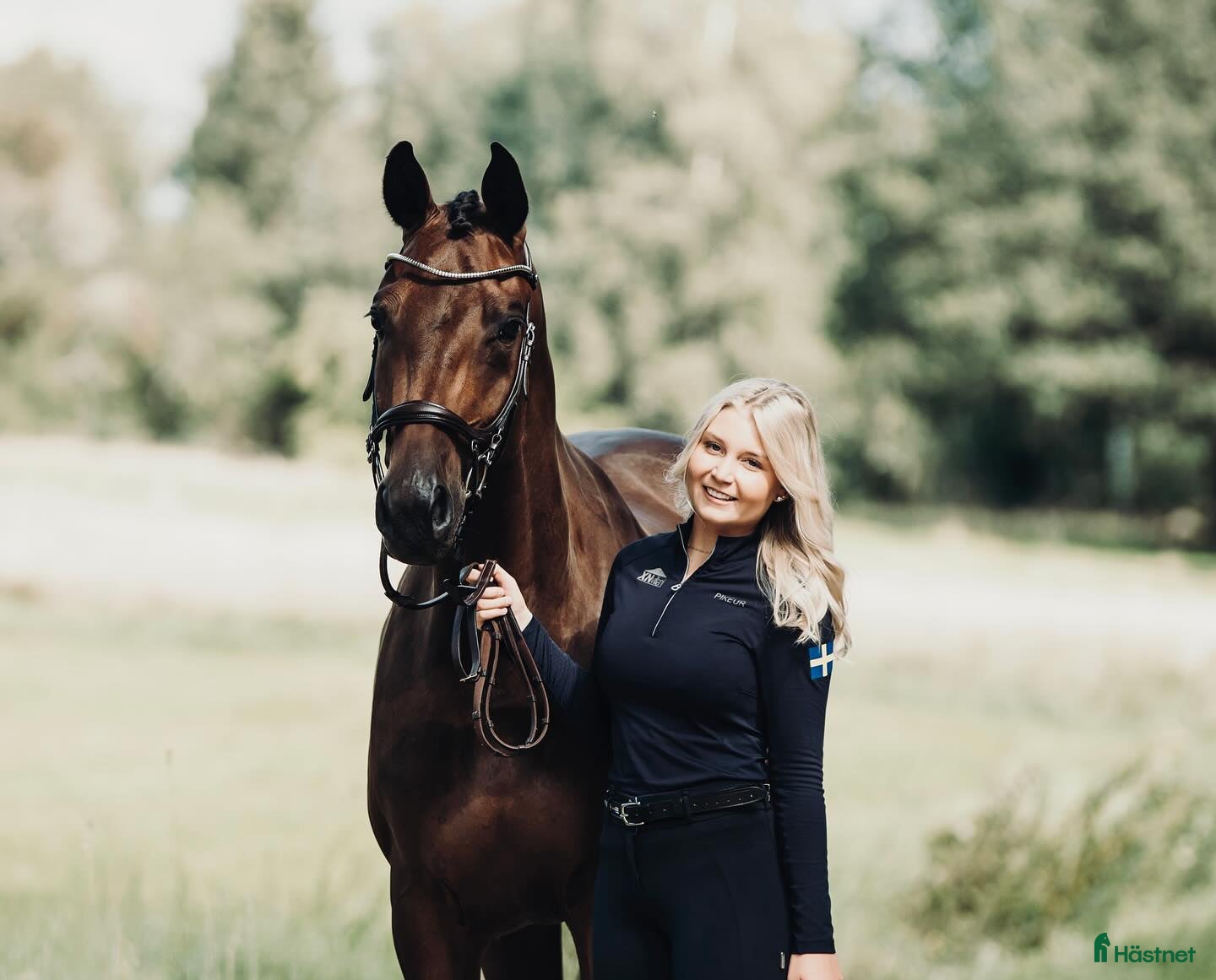  hästservice Träning, tävling och utbildning av häst  - Annons 2
