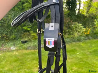 Träns hästutrustning till salu: Svart träns i Flyinge - Annons 3