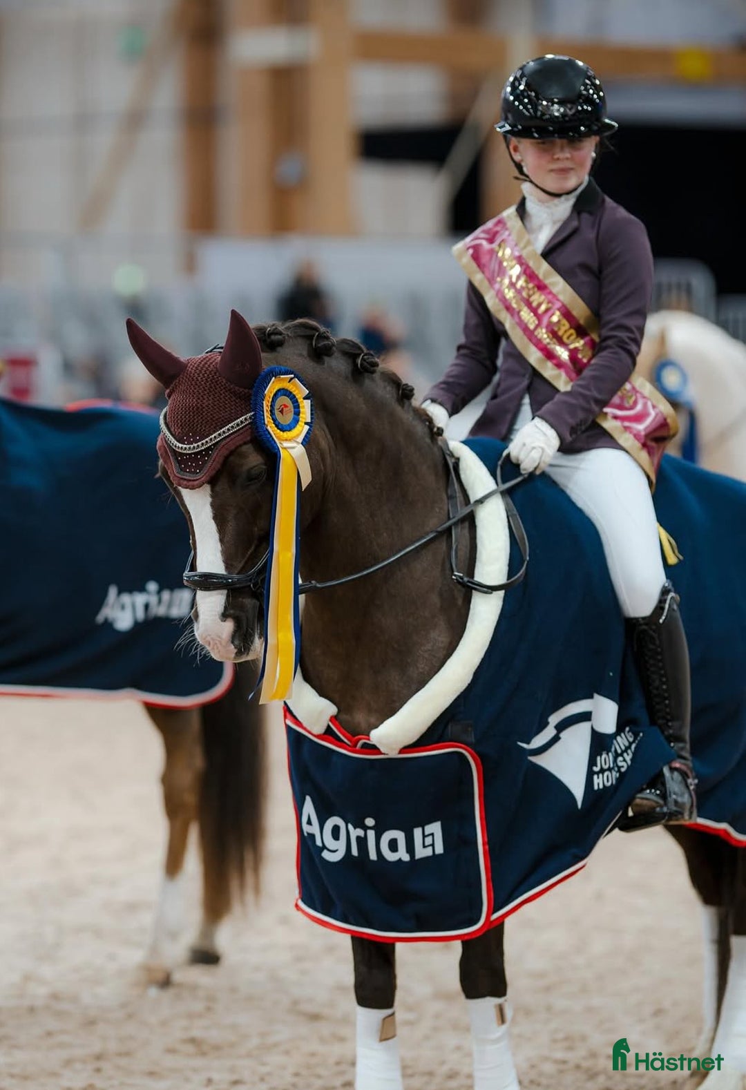 Dressyr hästar till salu: 🌟Magisk ponny söker liten dressyrryttare med ❤️ i Vaxholm - Bild 1
