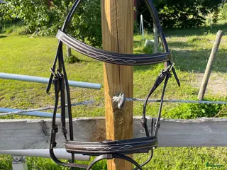 Träns hästutrustning Oanvänt träns strl. COB i Stallarholmen - Annons 20