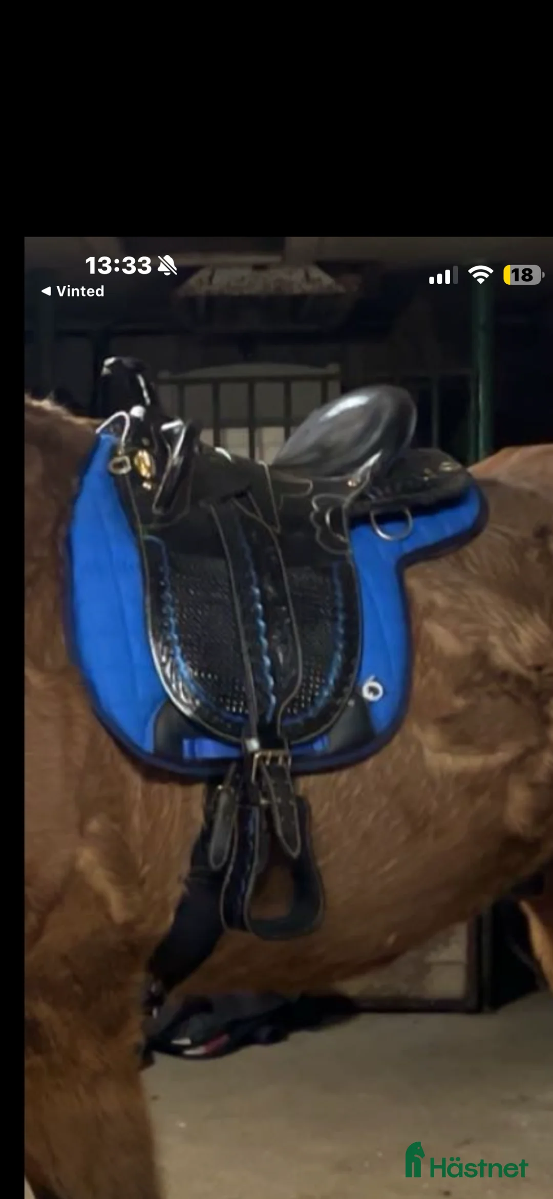 Sadlar hästutrustning till salu: Stocksadel med horn - Annons 1