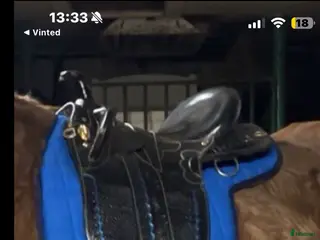 Sadlar hästutrustning Stocksadel med horn - Annons 6