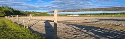  stallplats finnes: Lösdriftsplatser finns i Skellefteå  - Annons 10