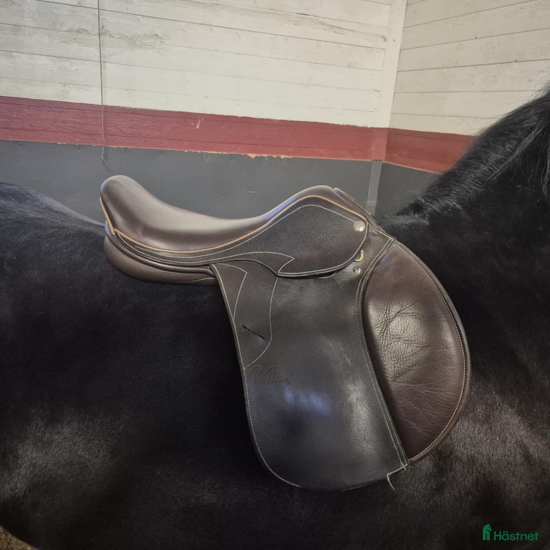 Sadlar hästutrustning till salu: Pessoa gen-x elite ponny i Bjästa - Annons 1