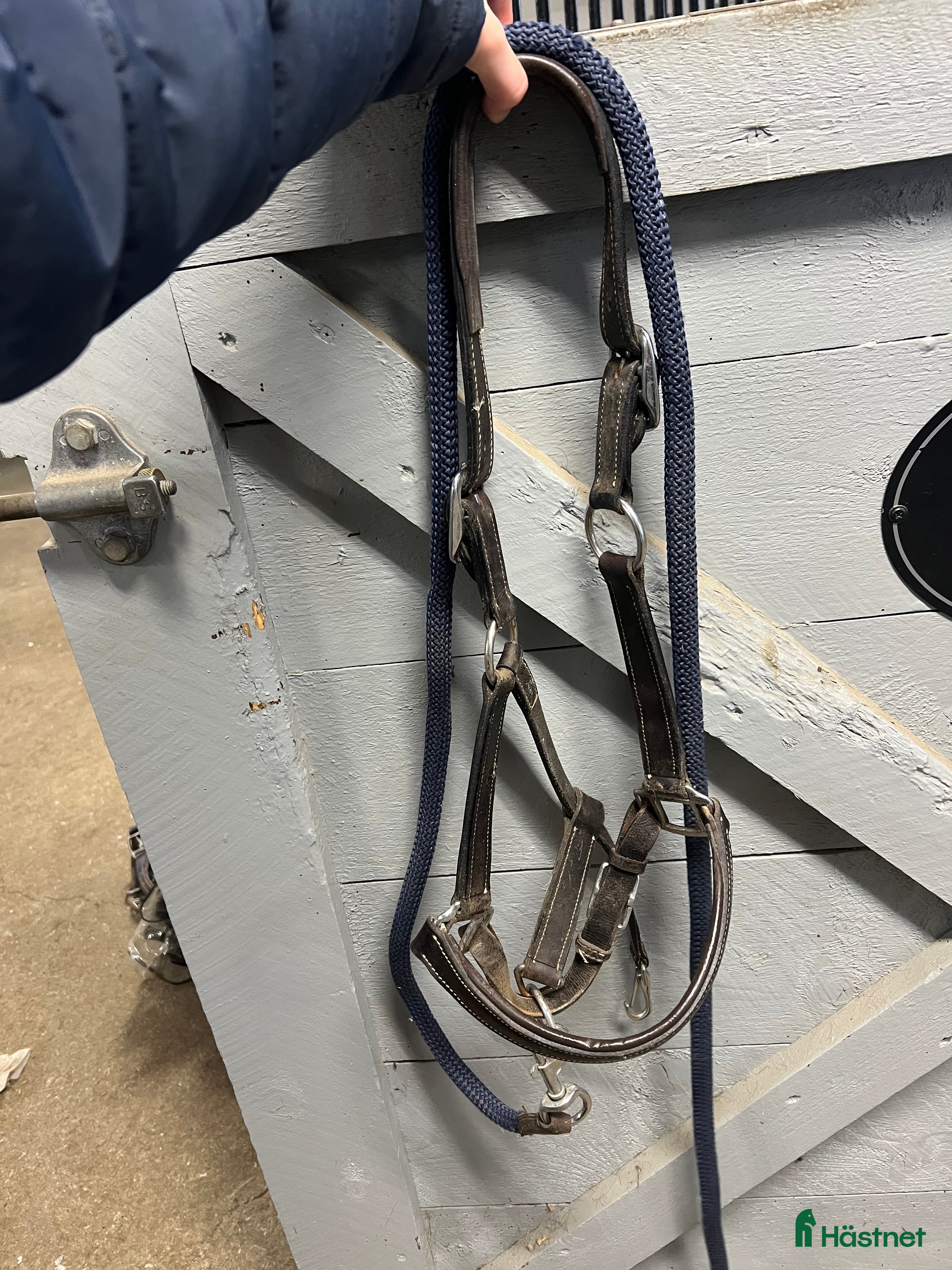 Övrig Hästutrustning hästutrustning till salu: Lädergrimma i Växjö - Annons 4