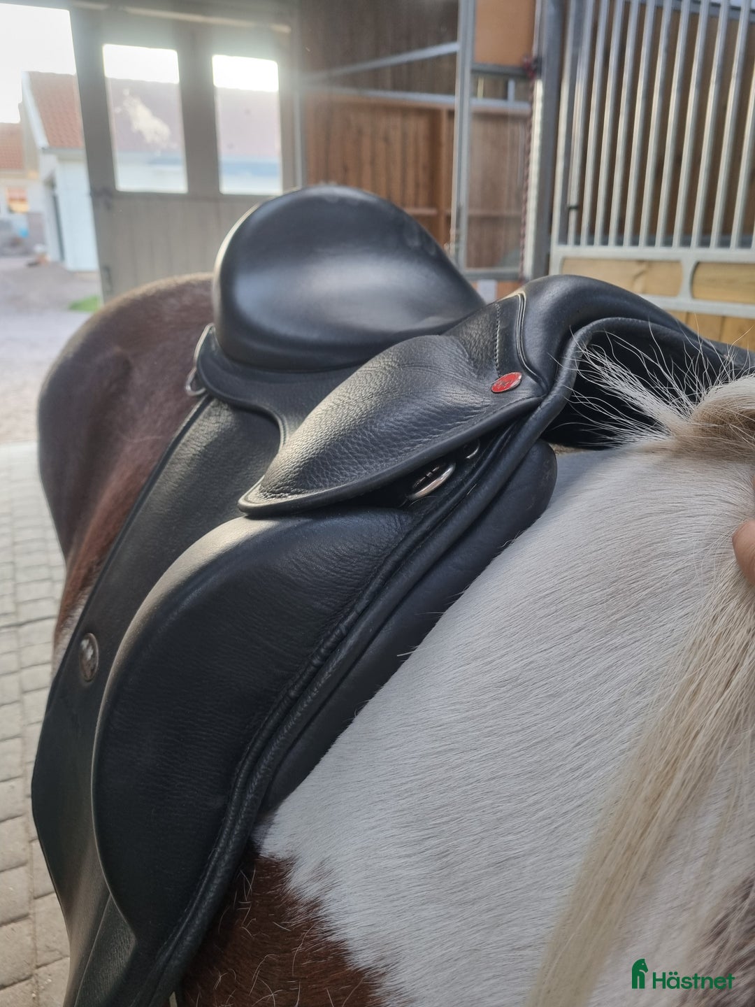 Sadlar hästutrustning till salu: Karlslund i Halmstad - Annons 3