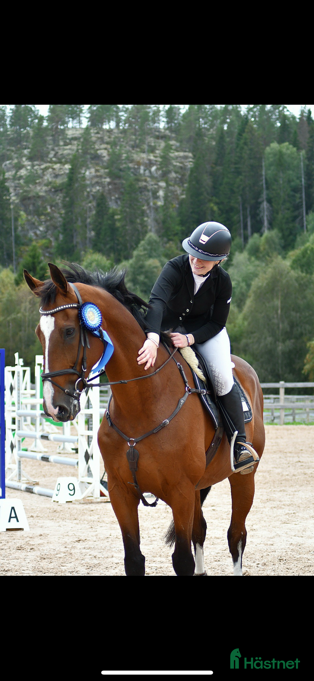 Hoppning hästar till salu: Underbar hopphäst söker ny bästa vän🌟 i Kusmark - Annons 3