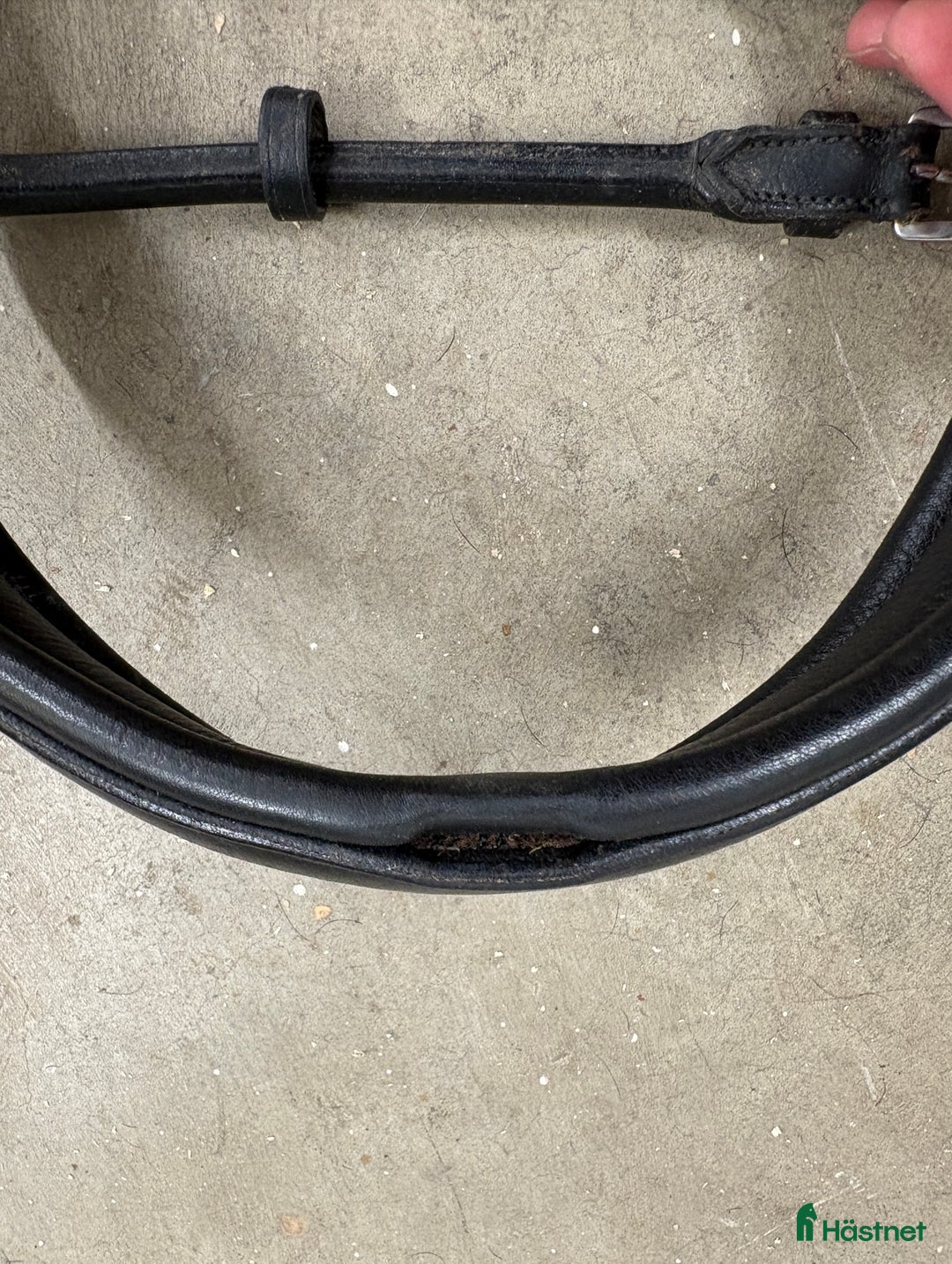 Träns hästutrustning till salu: Droppformad nosgrimma i Täby - Annons 3