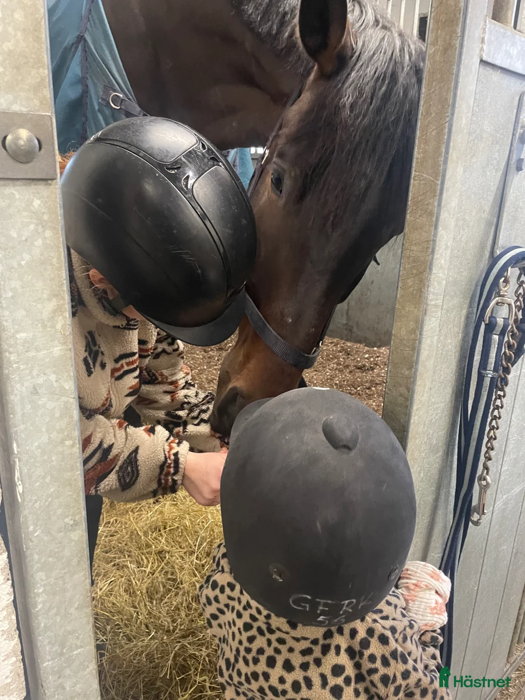 Galleribild {{count}}