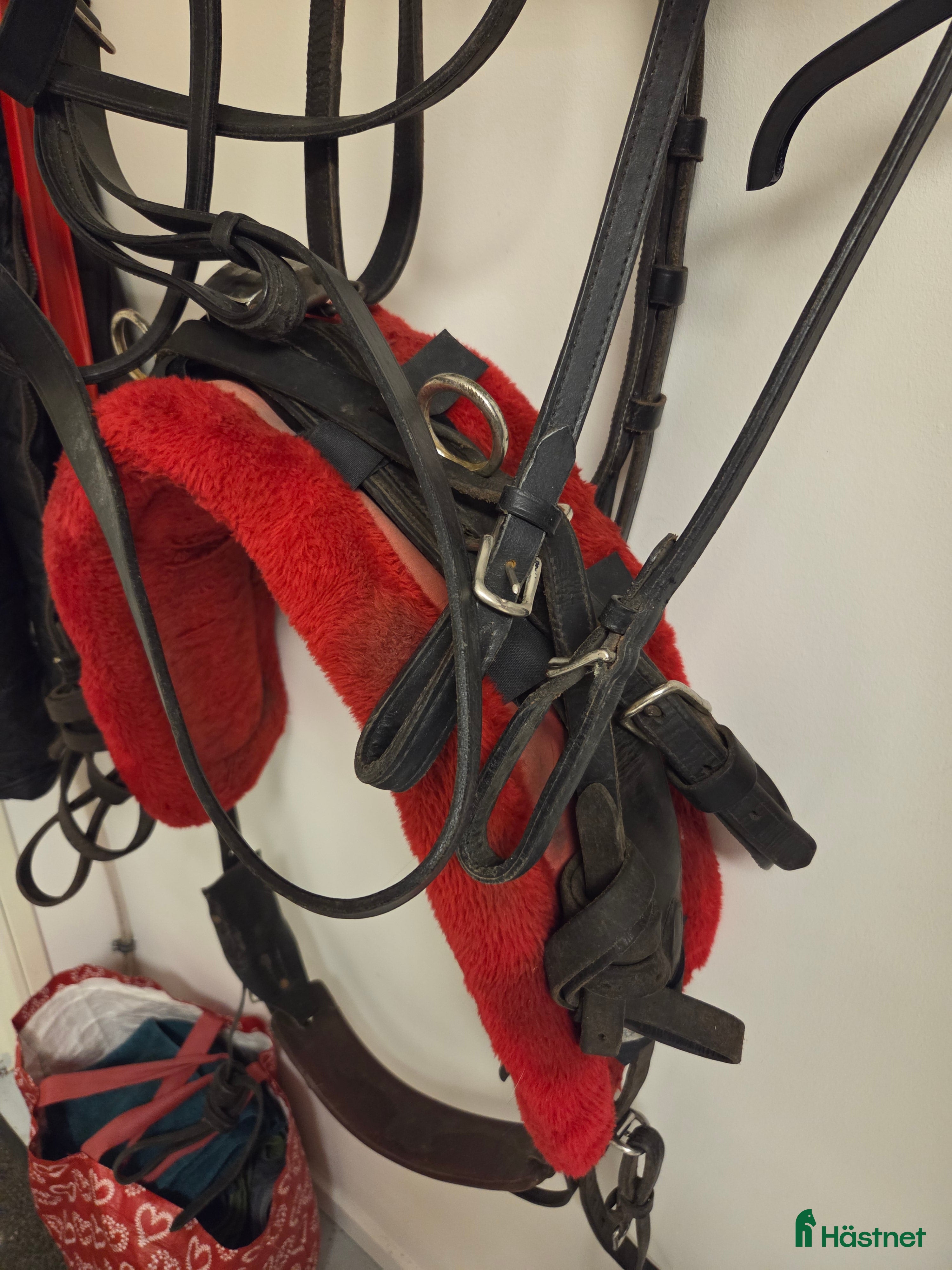 Travselar trav till salu: Travsele - Annons 3