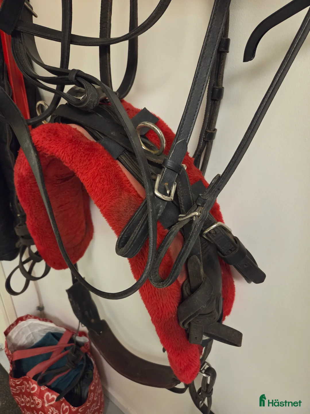 Travselar trav till salu: Travsele - Annons 1