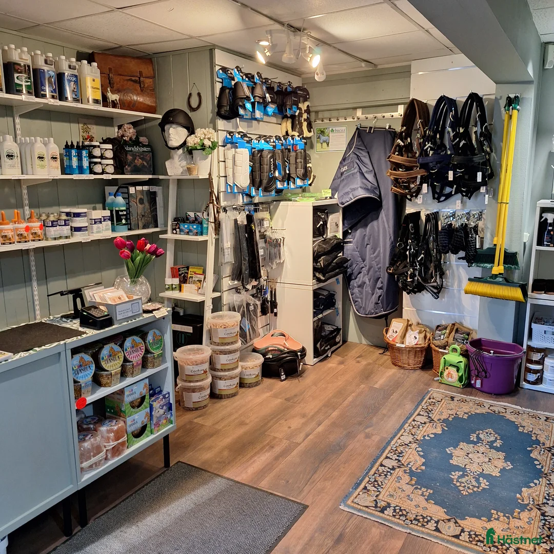  hästservice finnes: Tvätt och impregnering av hästtäcken, m.m - Annons 2